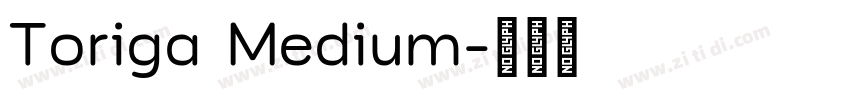 Toriga Medium字体转换